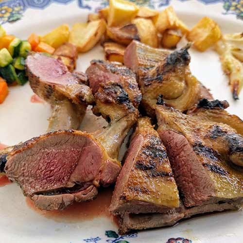 piccione pigeon squab